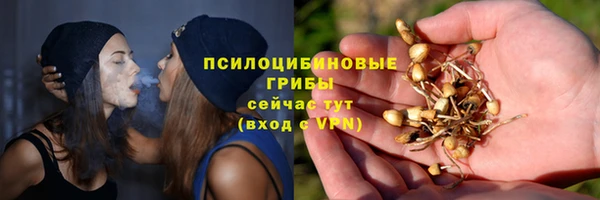прущая мука Козловка