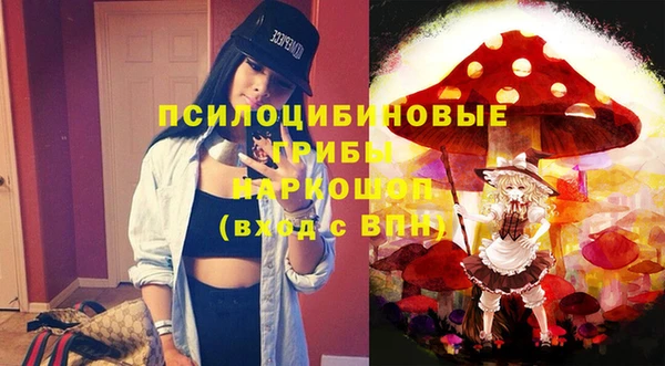 марки lsd Козельск