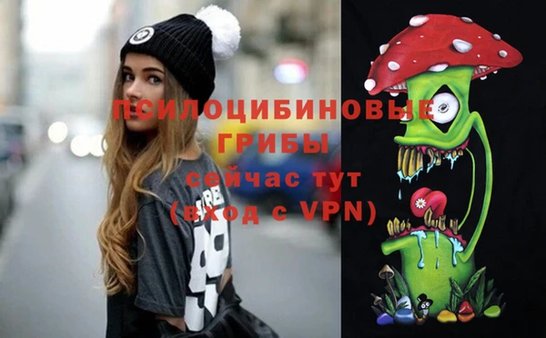 марки lsd Козельск