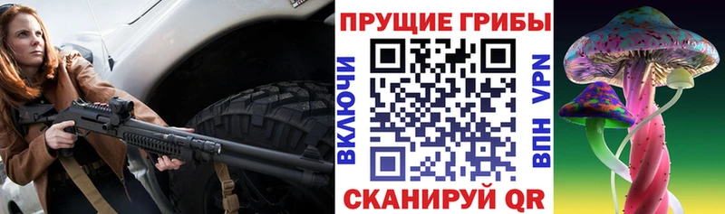 Купить закладки  Валуйки  Псилоцибиновые грибы Magic Shrooms 